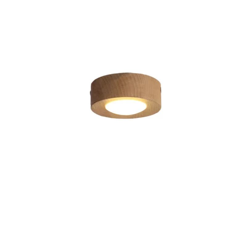 Natural Elegance LED Ceiling Fixture for Energy-Efficient Lighting