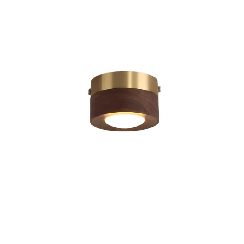 Natural Elegance LED Ceiling Fixture for Energy-Efficient Lighting