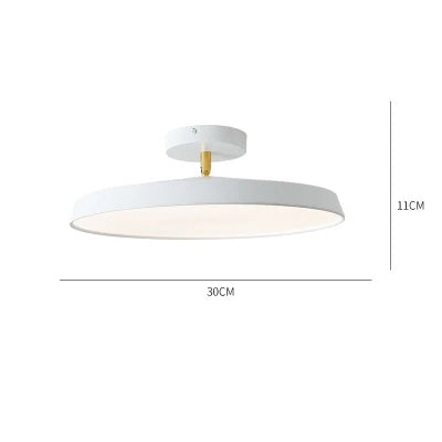 RadiantPath Outdoor Lantern for Entryways and Walkways