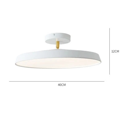 RadiantPath Outdoor Lantern for Entryways and Walkways