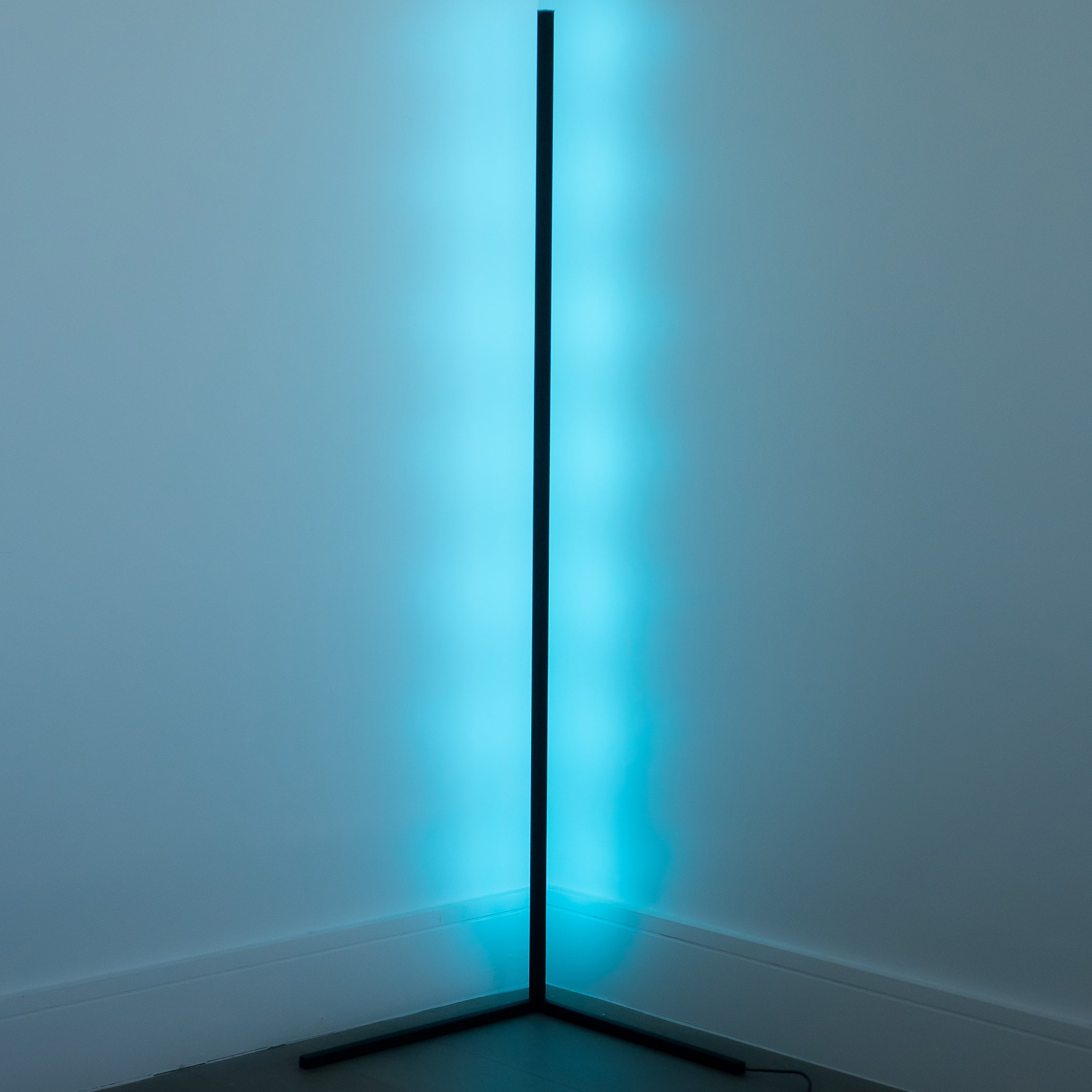145cm Color-Changing LED Floor Lamp with App and Remote Control - Black & White