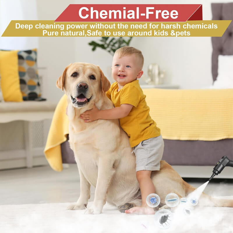 High-Pressure Steam Cleaner for Multi-Surface Cleaning | Quick Heat-Up Tool for Home and Vehicle