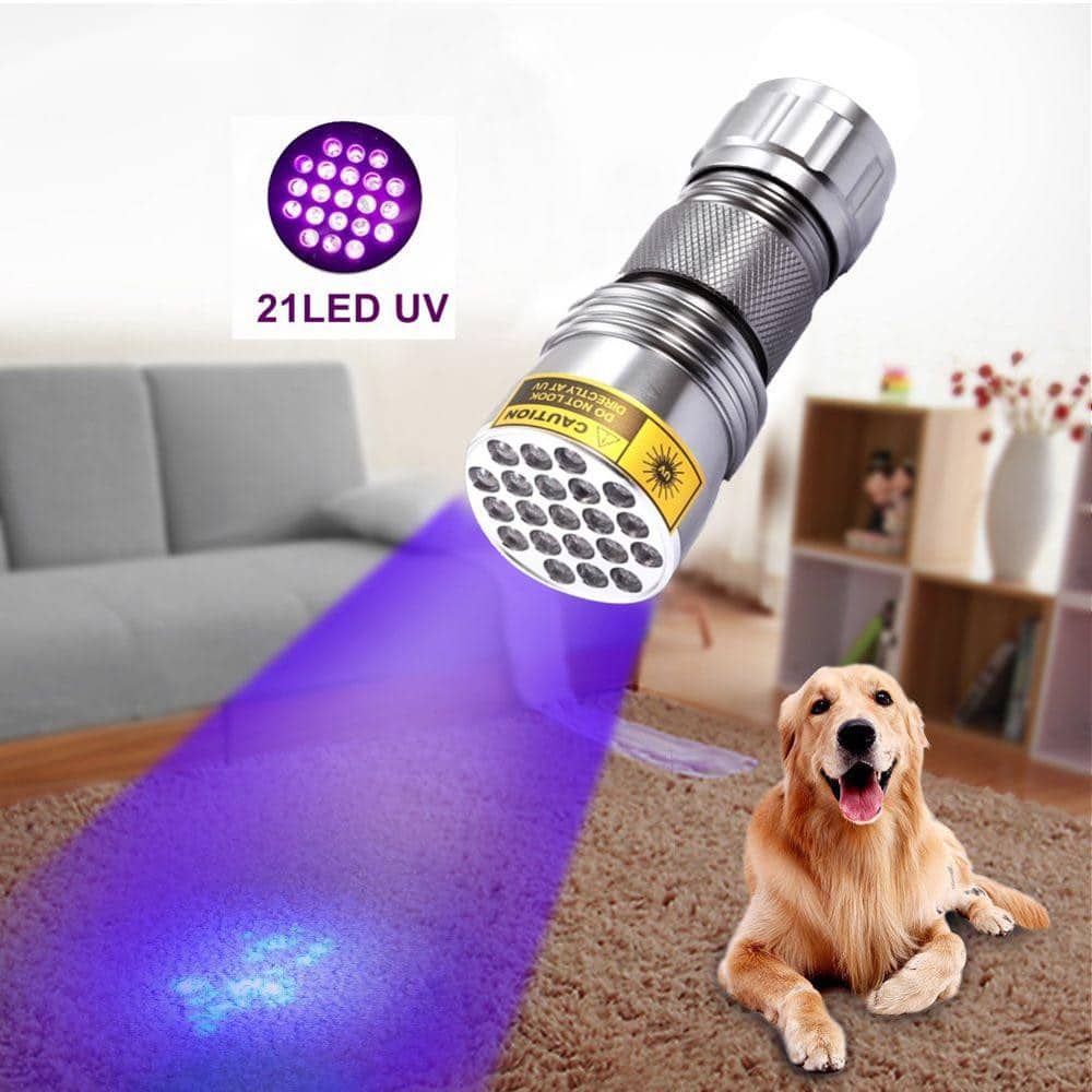 21 LED Portable UV Light Lamp