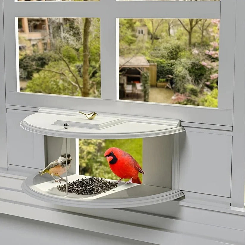 Window Bird Feeder with Suction Cup Installation for Close-Up Viewing