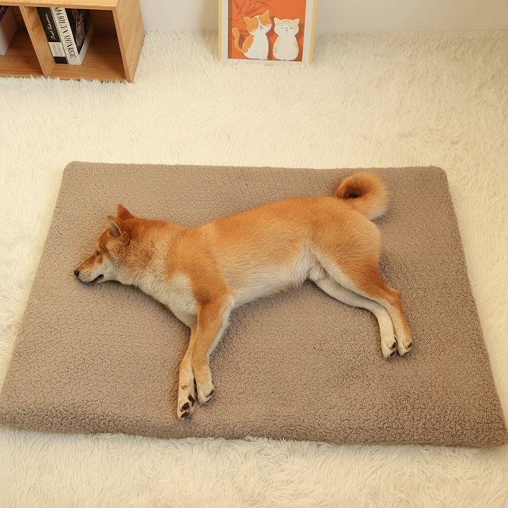 CozyGuard Waterproof Orthopedic Dog Bed with Plush Cover