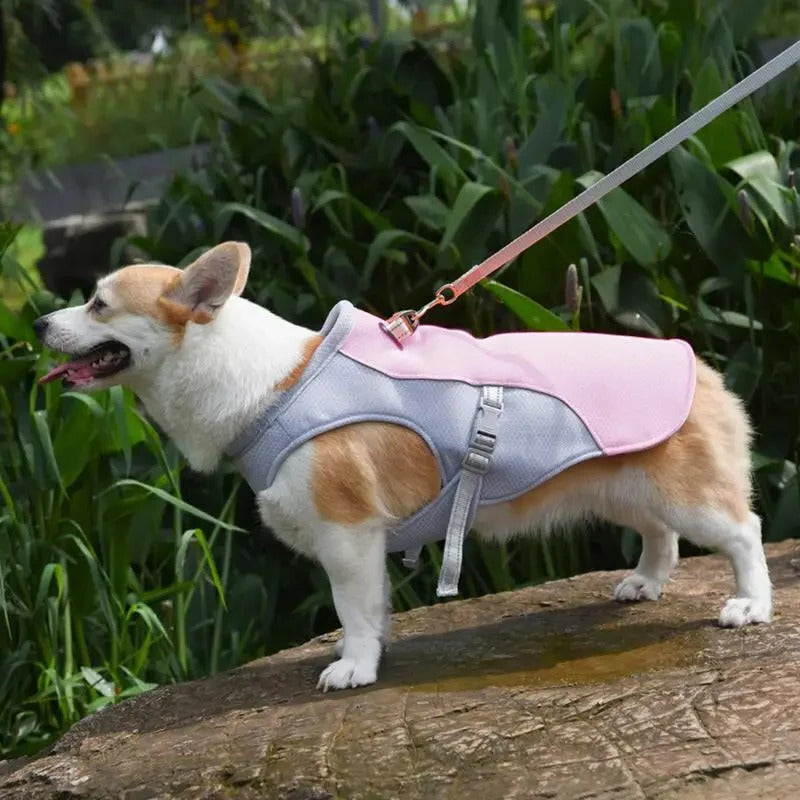 Dog Cooling Vest with Three-Layer Fabric for Outdoor Comfort