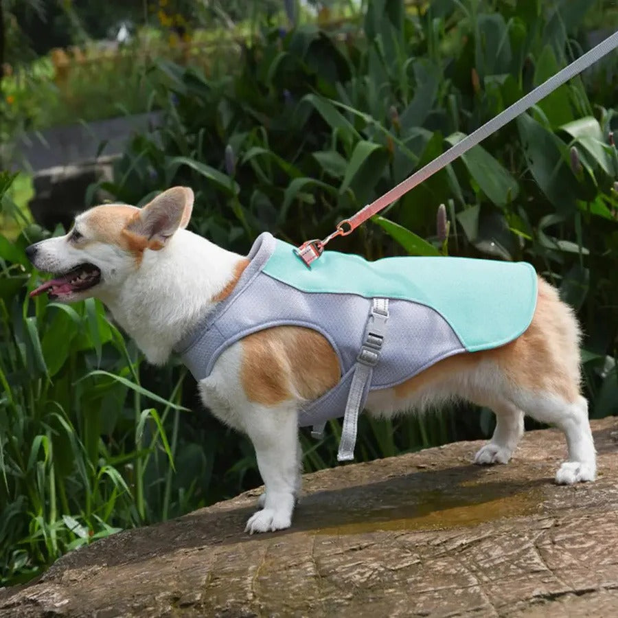 Dog Cooling Vest with Three-Layer Fabric for Outdoor Comfort