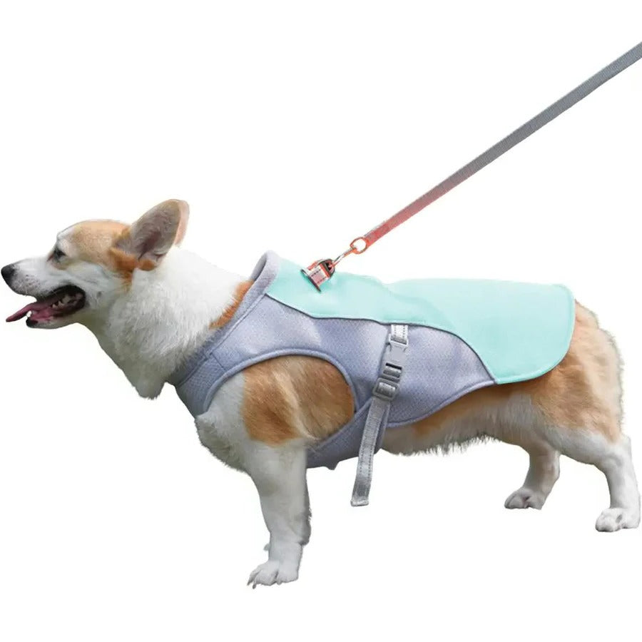 Dog Cooling Vest with Three-Layer Fabric for Outdoor Comfort