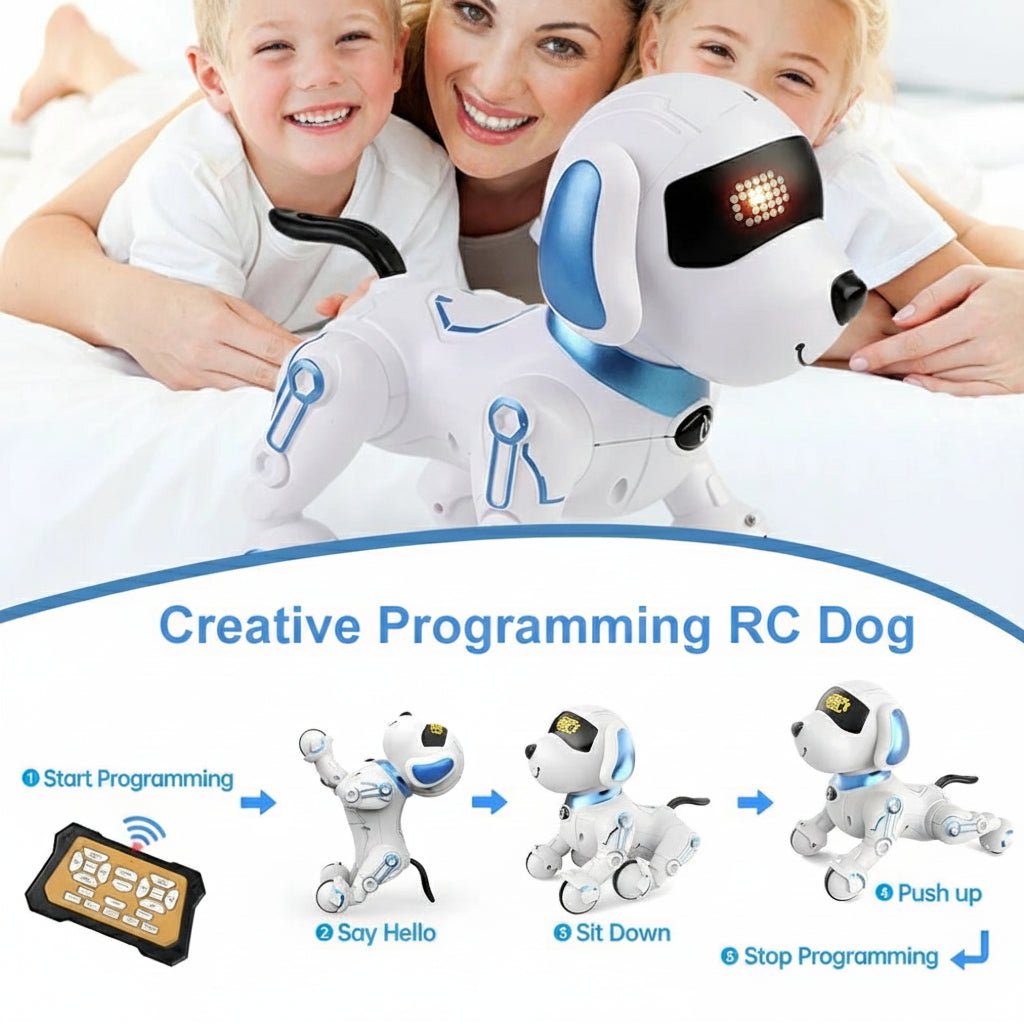 BuddyBot Mini Interactive Companion Robot for Kids