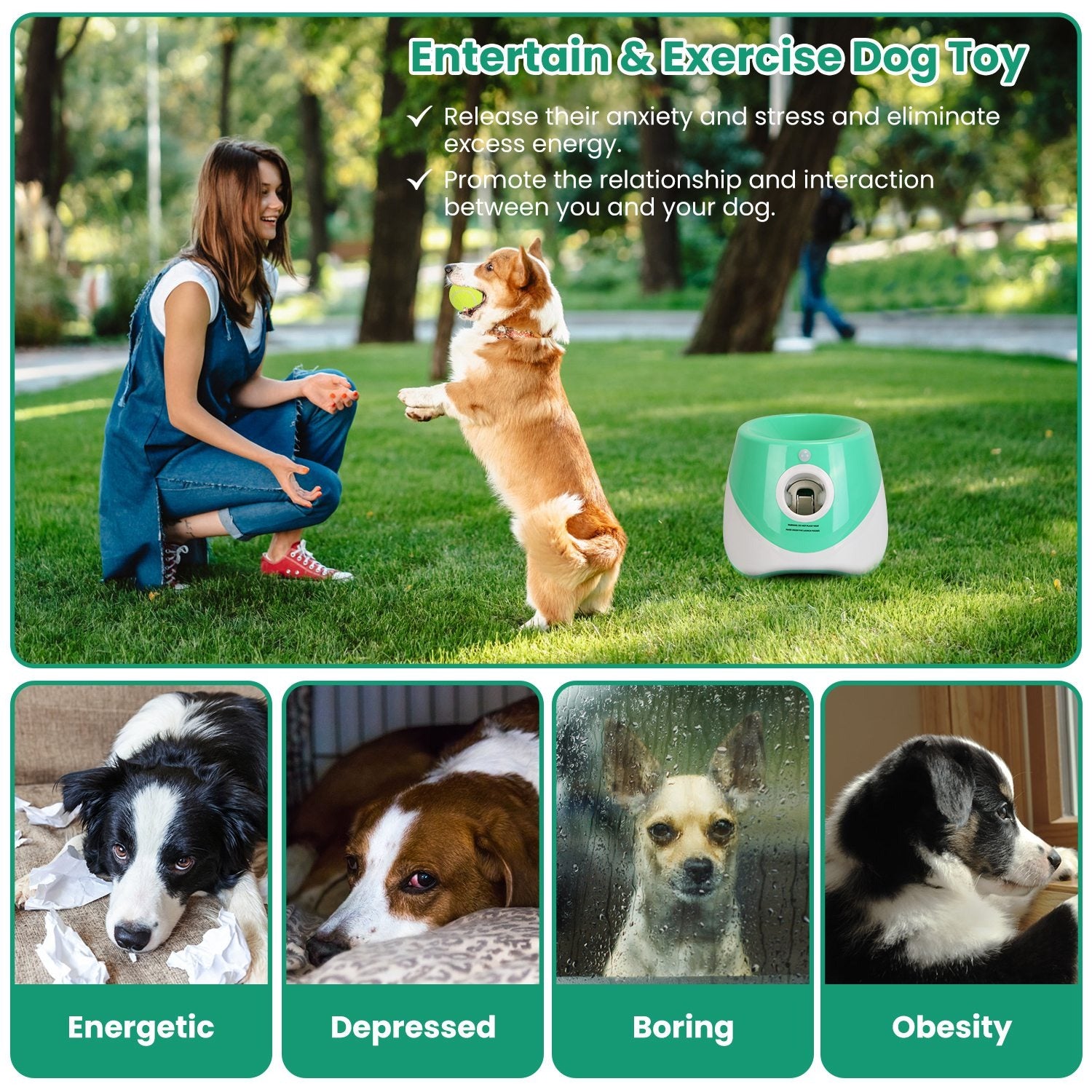 Dog Ball Launcher with Automatic Function | 3 Distance Options | Infrared Safety | 5-Hour Battery Life | Comes with 6 Balls