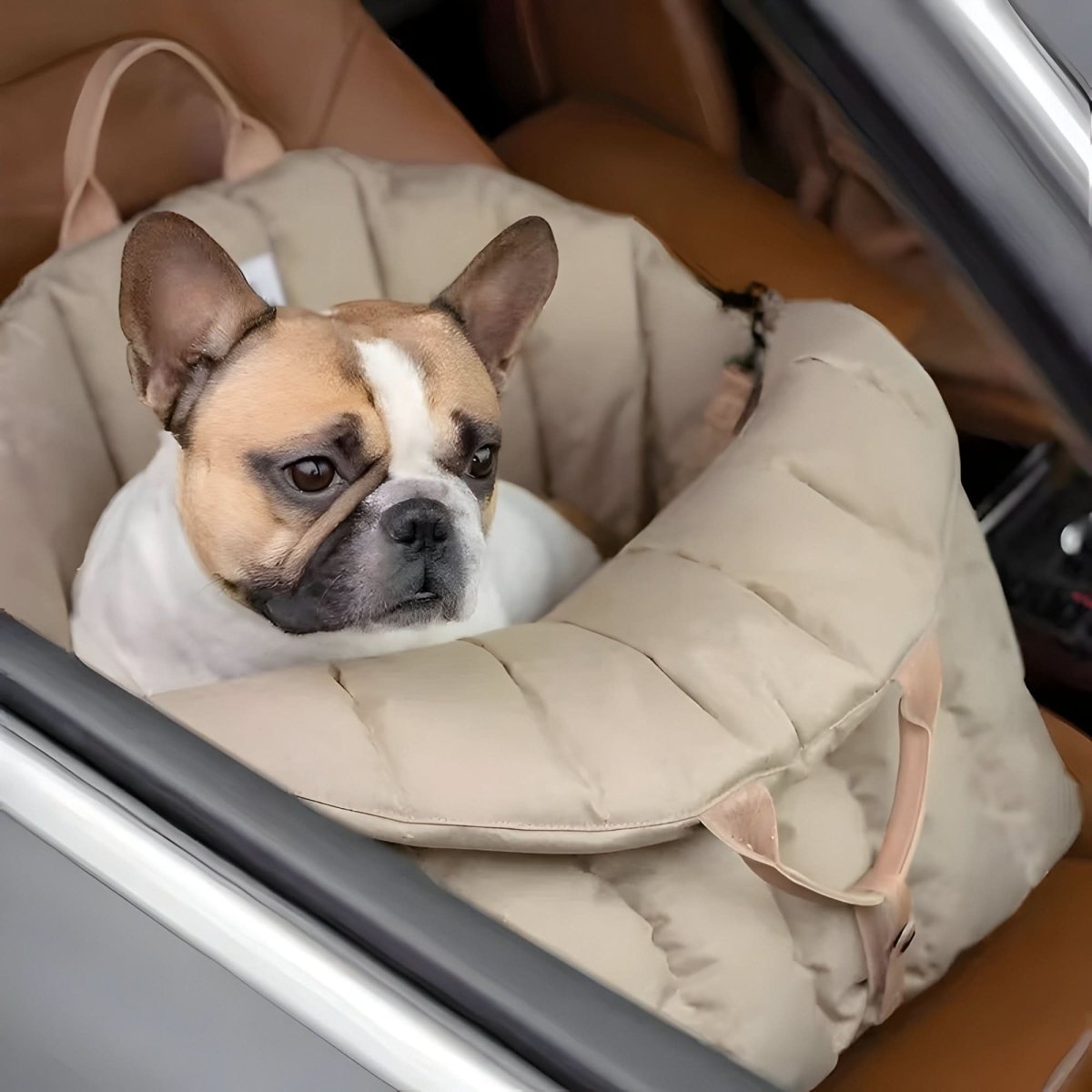TravelBuddy Compact Dog Carrier with Cozy Lining & Safety Strap