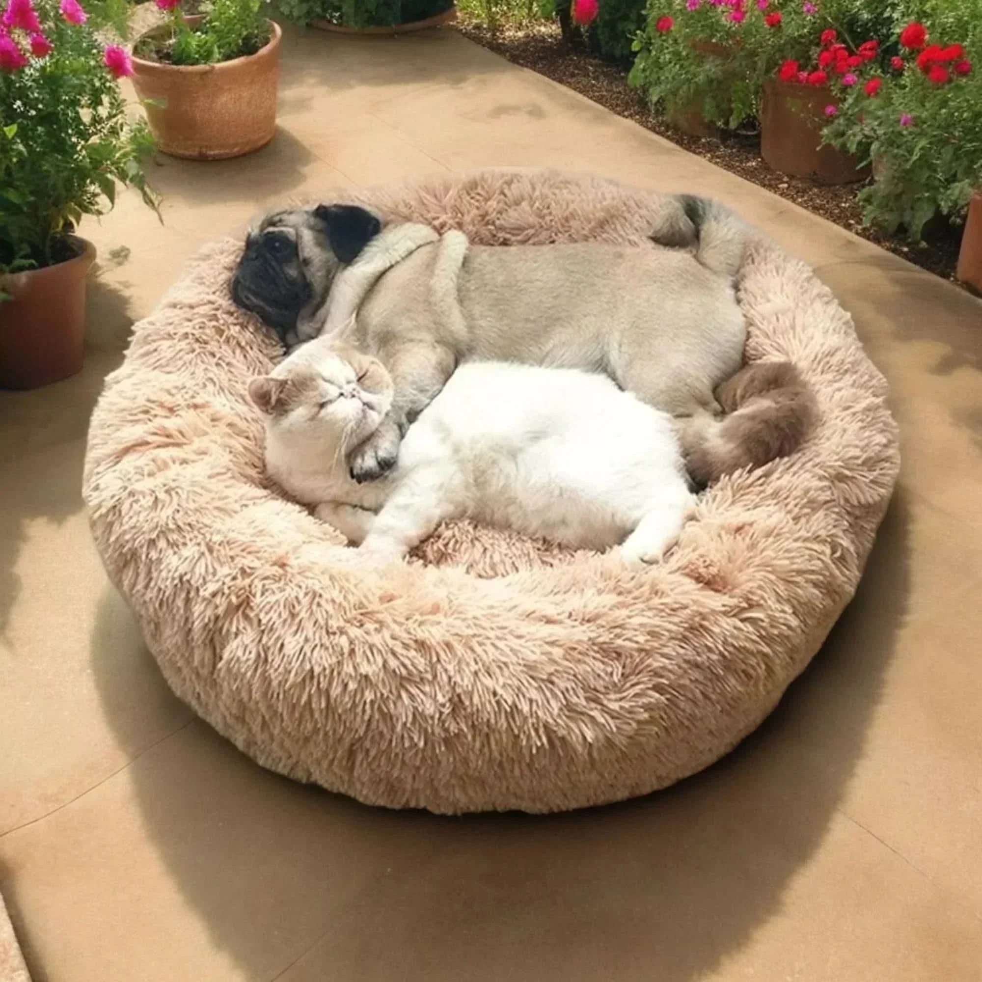 Cozy Haven Pet Bed for Ultimate Comfort and Serenity