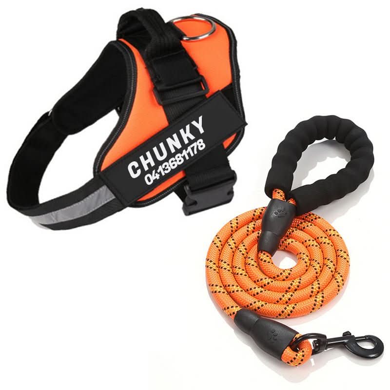ComfortFit Customizable Dog Harness for Ultimate Safety