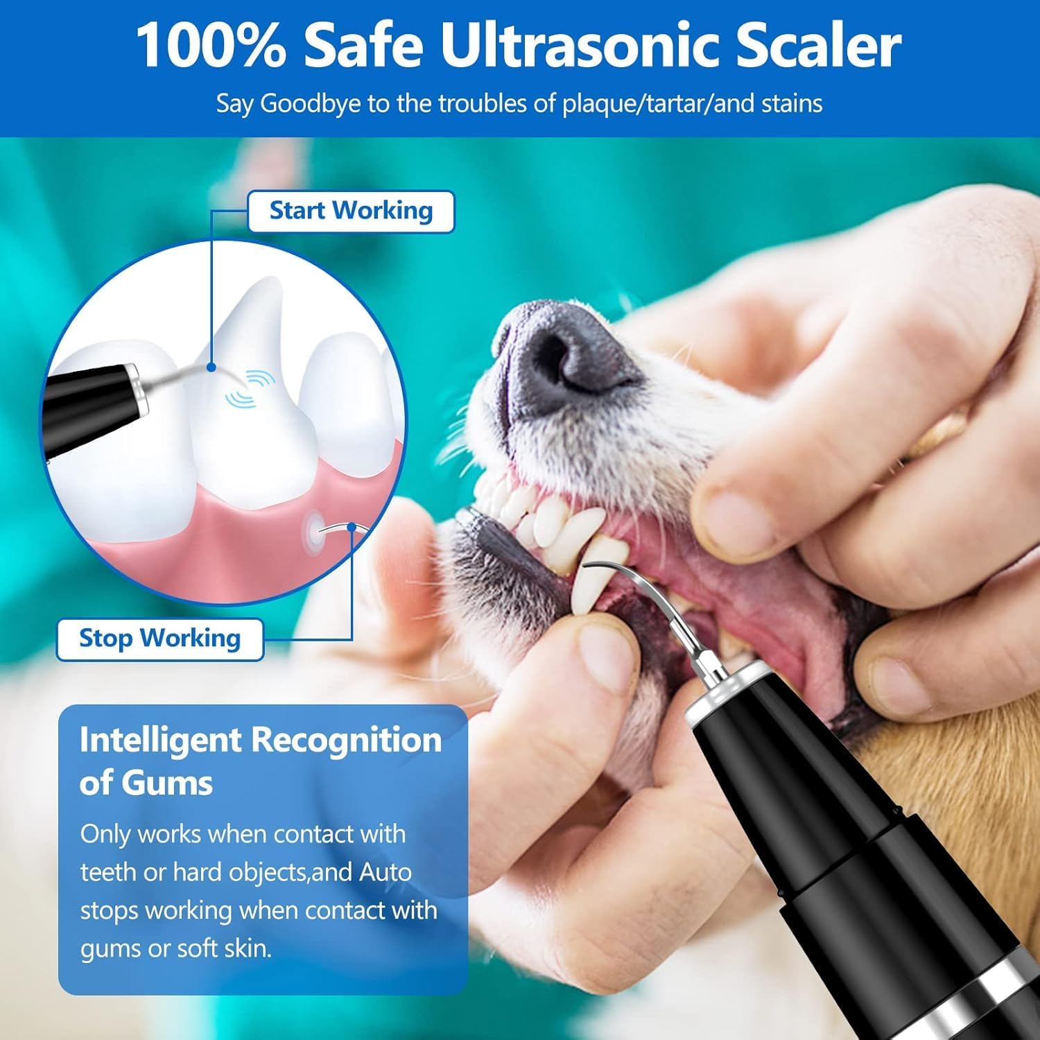 Ultrasonic Dog Tooth Cleaner for Gentle Dental Care and Healthy Smiles