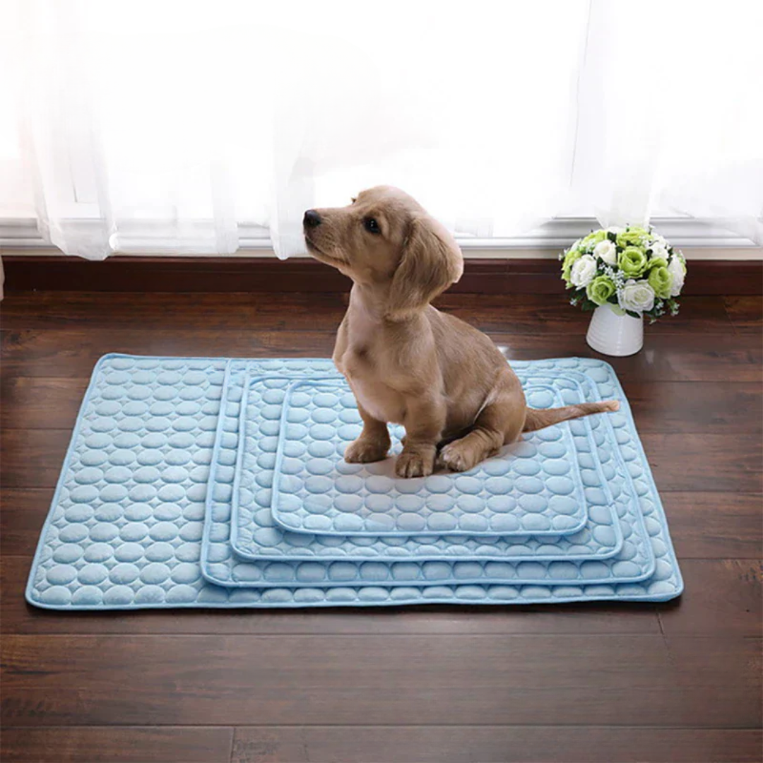Cooling Dog Mat with Pressure-Activated Gel for Summer Comfort