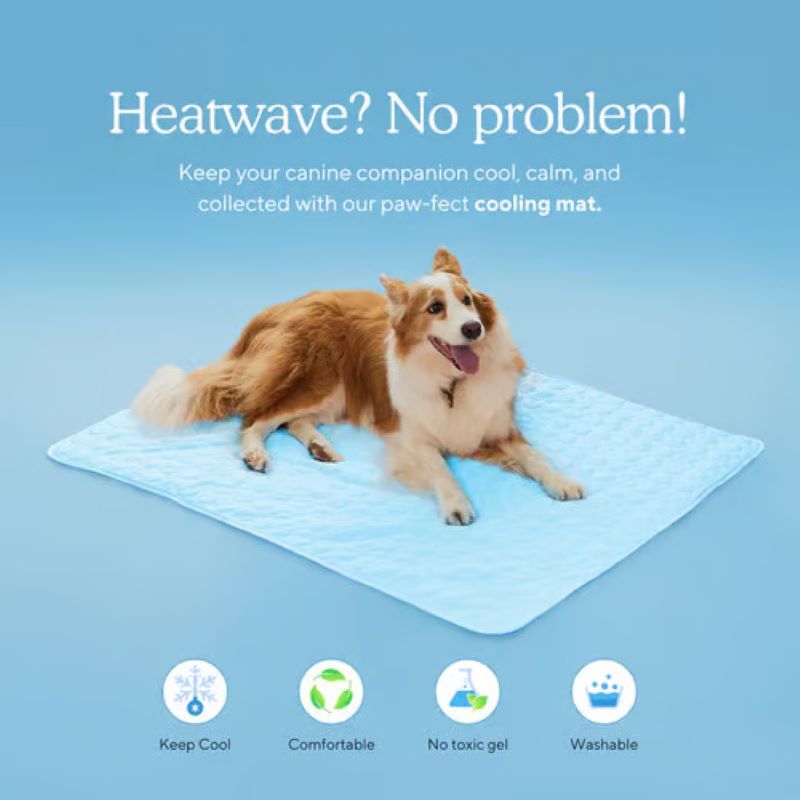 Cooling Dog Mat with Gel-Free Design | Easy Clean for Comfort