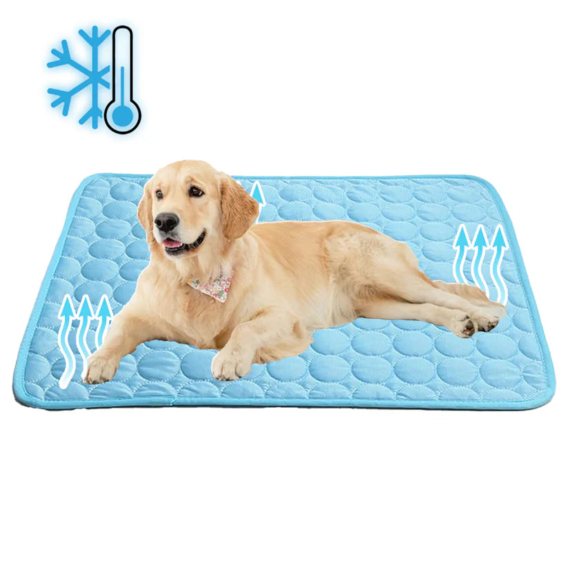 Self-Cooling Dog Mat for Comfort in Warm Weather