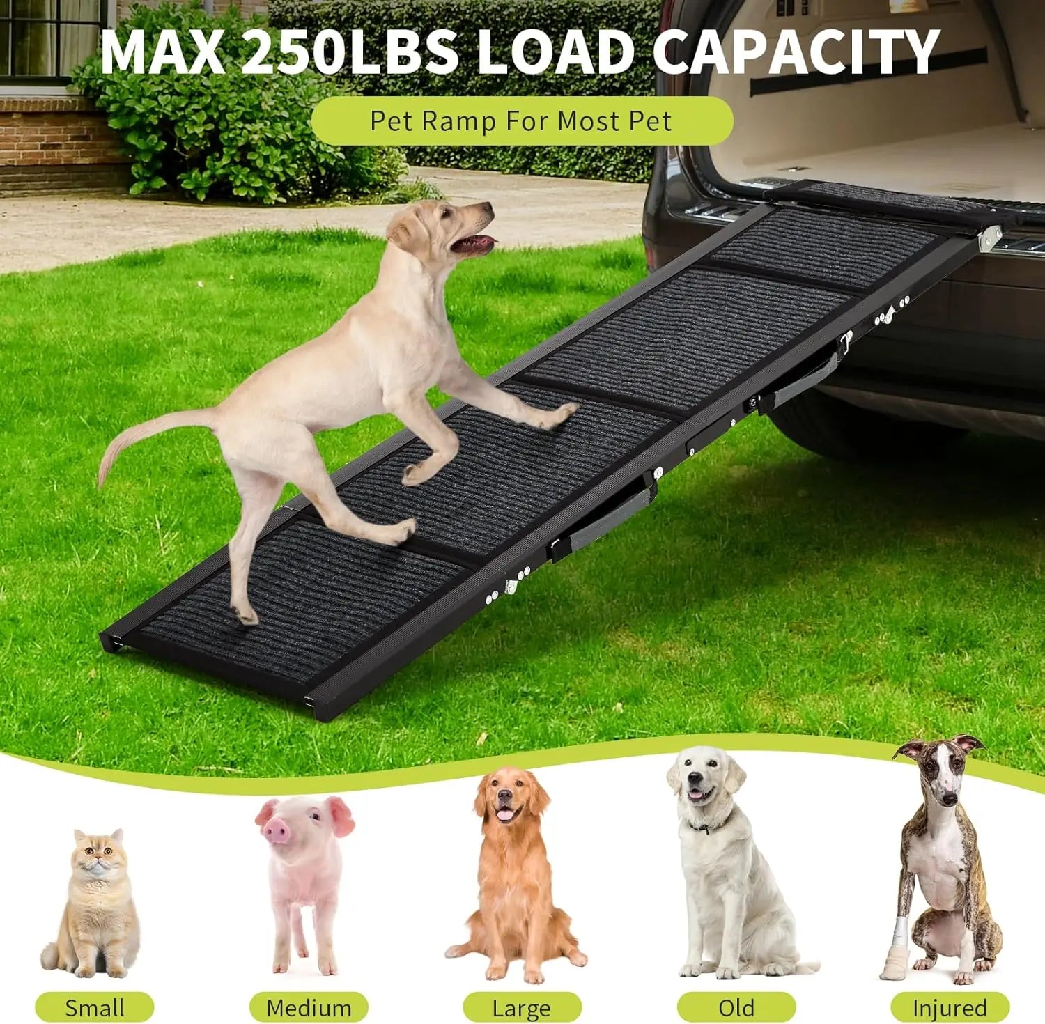 Dog Ramp for Vehicles | Foldable Quad Design with Non-Slip Surface for Large Breeds
