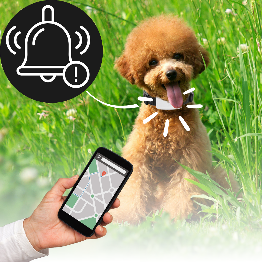 GPS Dog Collar for Pets - Real-Time Location Tracker, Waterproof Safety Design