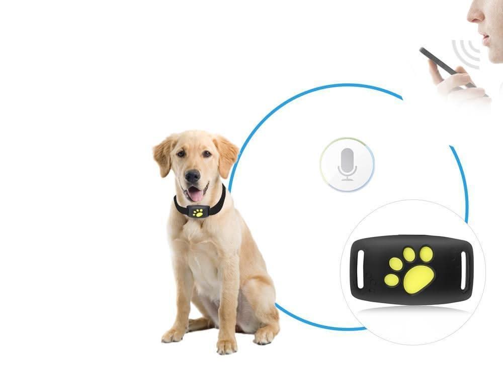 GPS Dog Collar with App Tracking – Lightweight Design & Long Battery Life
