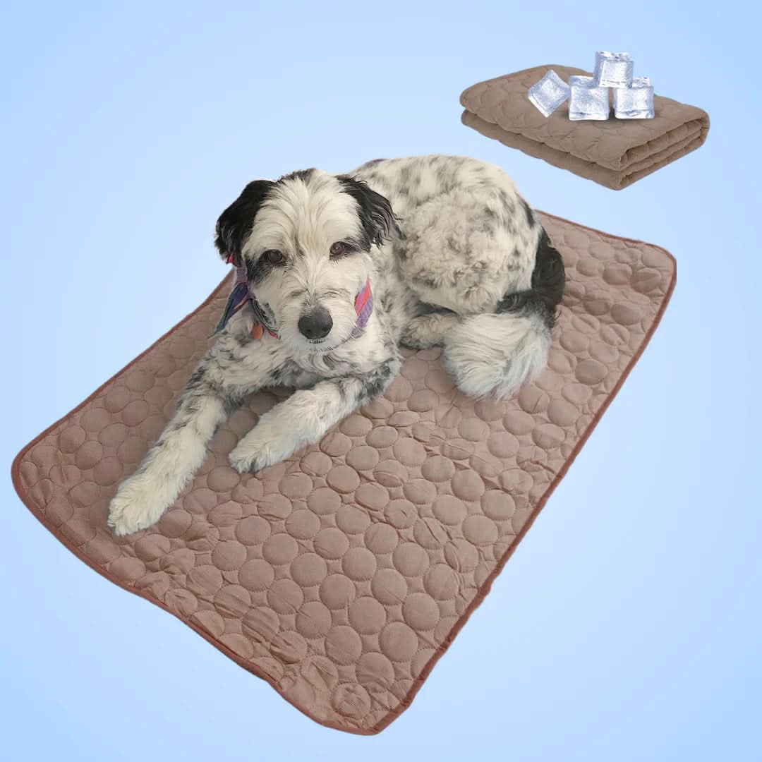 Cooling Mat for Dogs – Portable Ice Silk Fabric Relief for Warm Weather