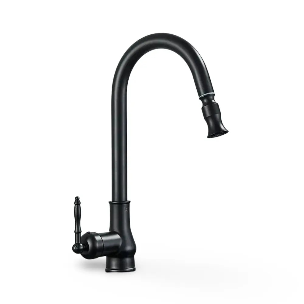 Classic Brass Kitchen Faucet with Swivel Spout