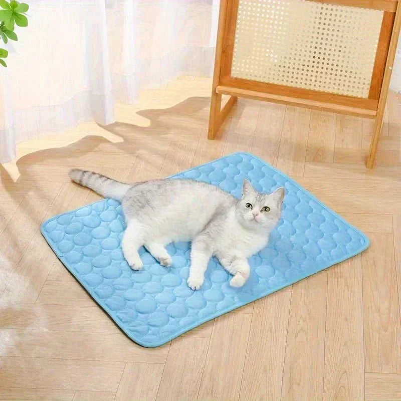 PawBreeze Refreshing Pet Mat for Ultimate Comfort
