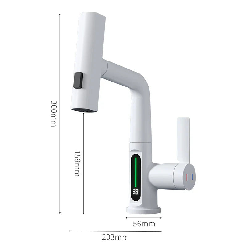 Versatile Kitchen Faucet with Digital Temperature Readout