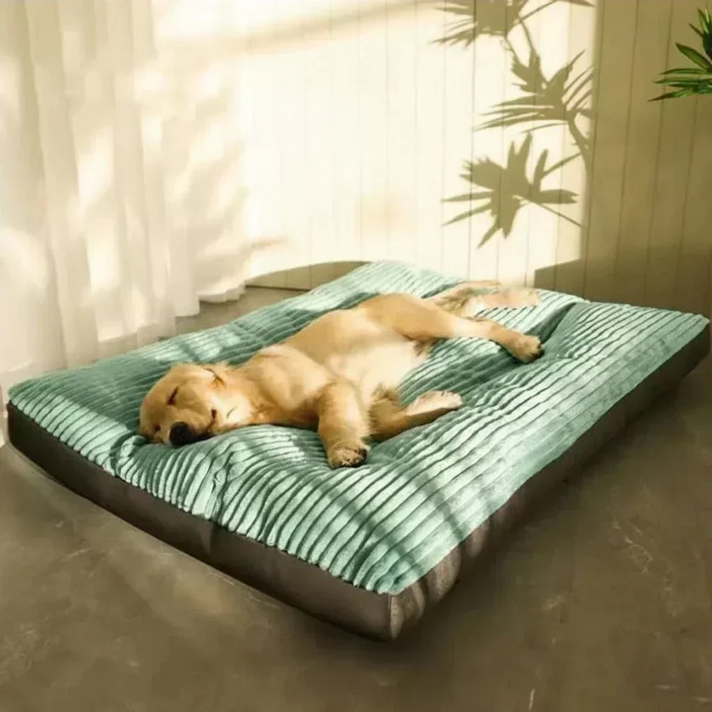 DreamHaven Supportive Dog Bed for Ultimate Comfort