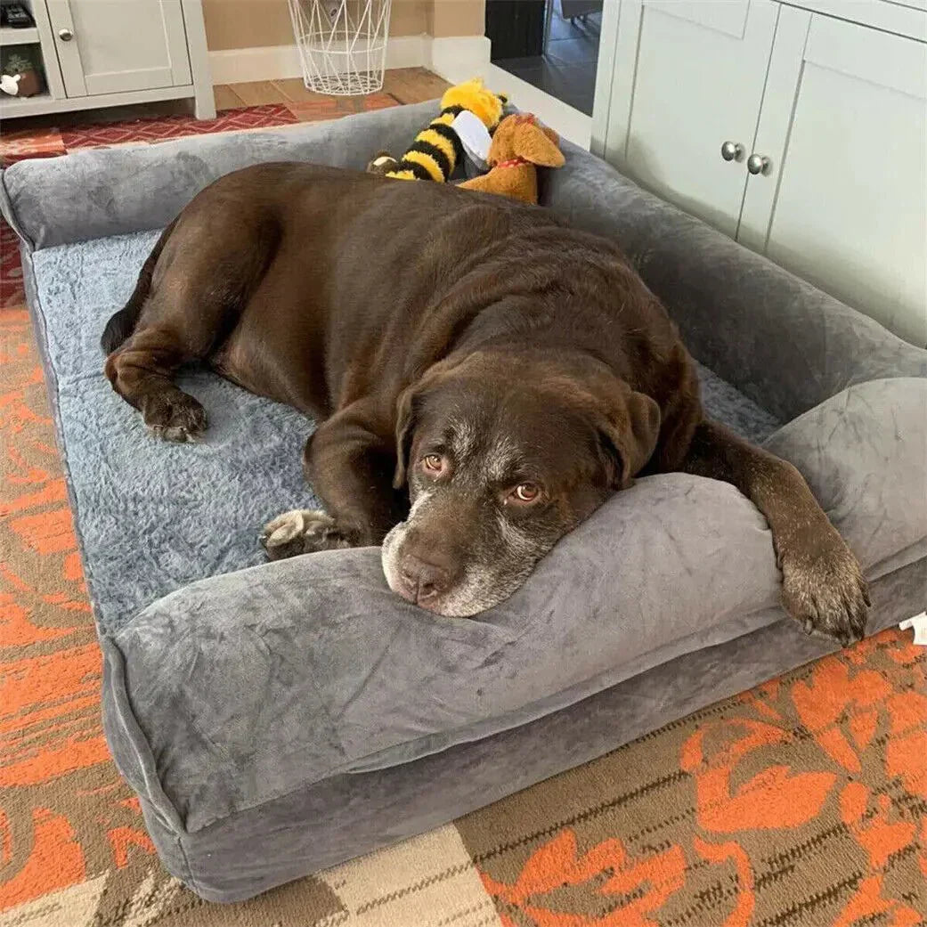 SereneRest Premium Orthopedic Dog Couch Bed