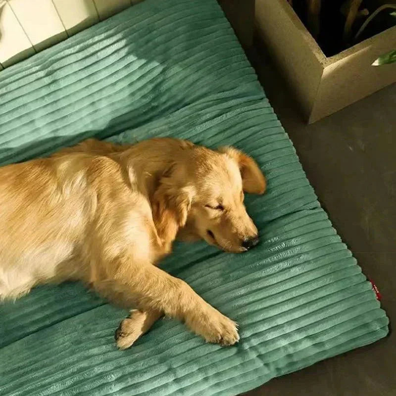 DreamHaven Supportive Dog Bed for Ultimate Comfort