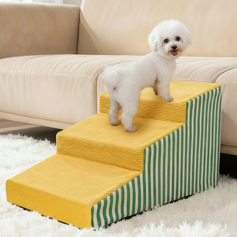 PawLift Gentle Incline Foam Steps for Dogs with Secure Base