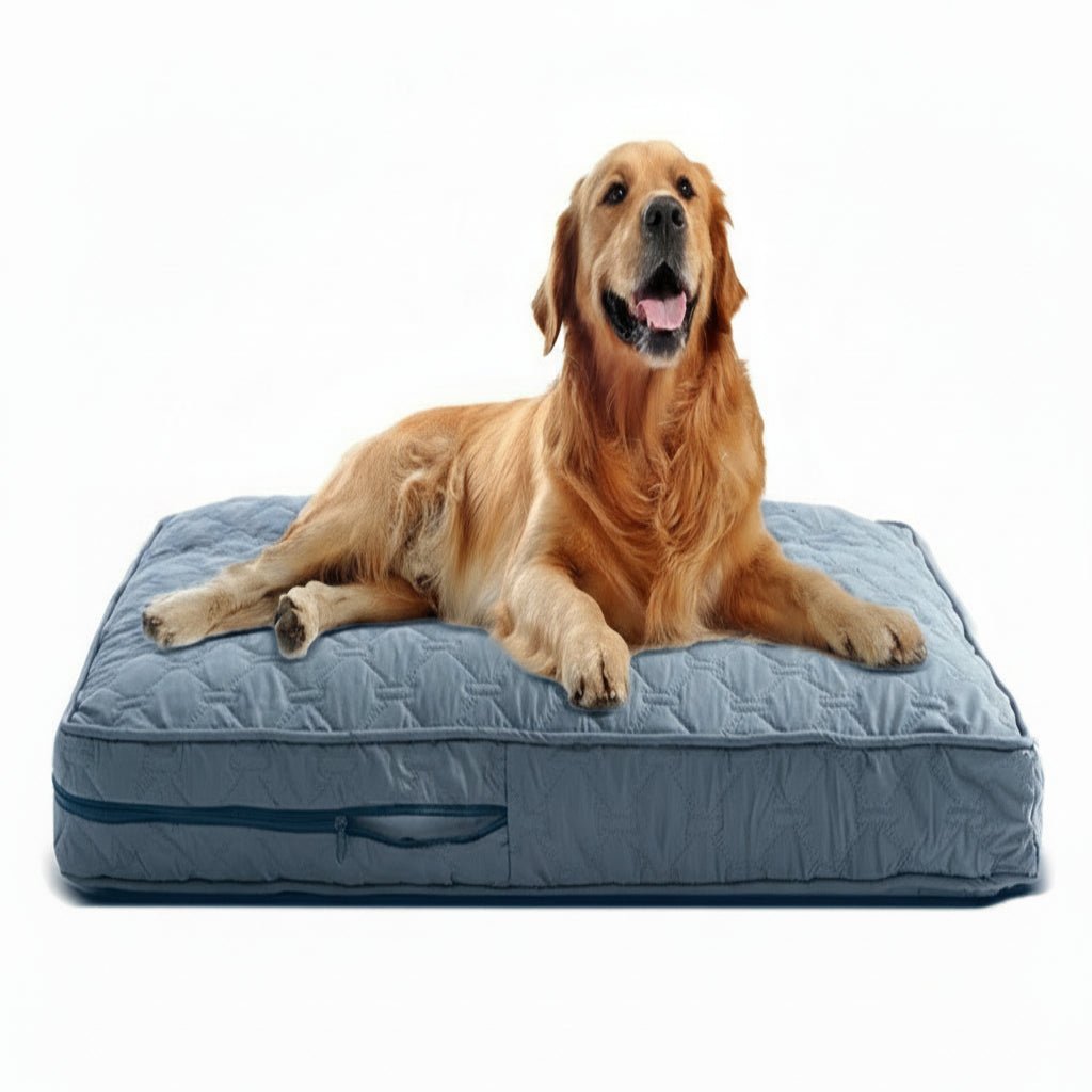 SnuggleNest Orthopedic Bed Cover for Large Dogs