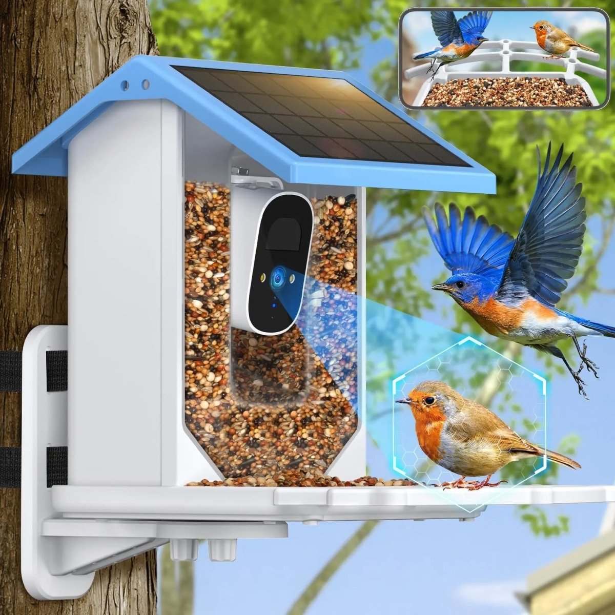 SolarLens Smart Bird Feeder with 2.4K HD Camera & Night Vision