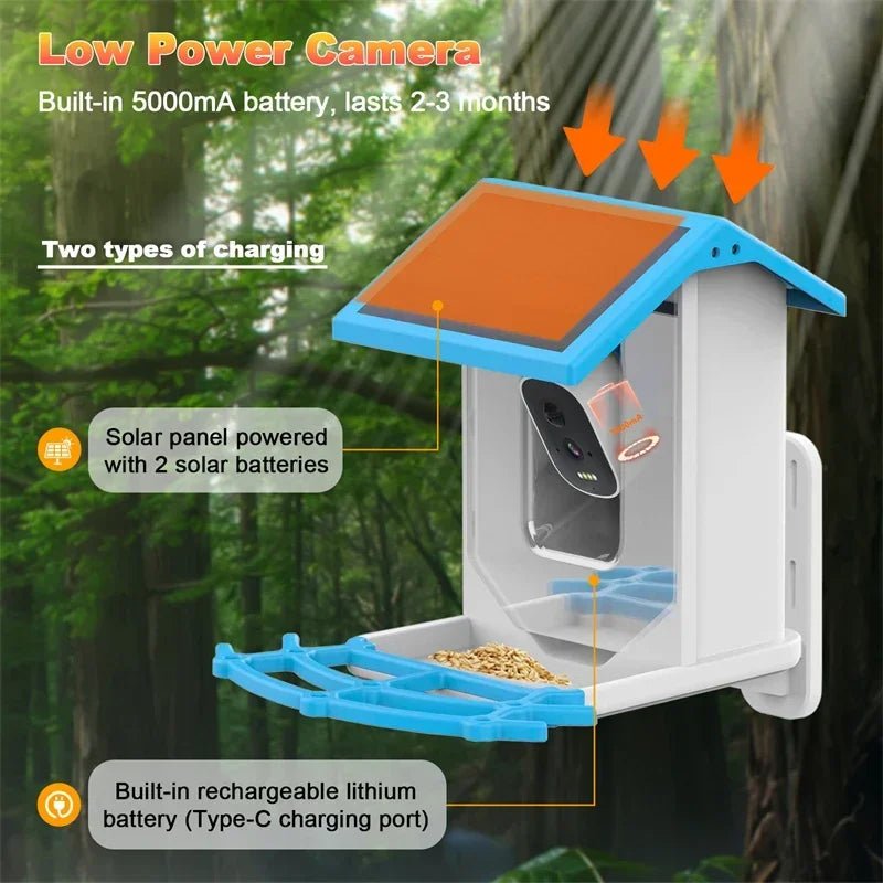 SolarLens Smart Bird Feeder with 2.4K HD Camera & Night Vision