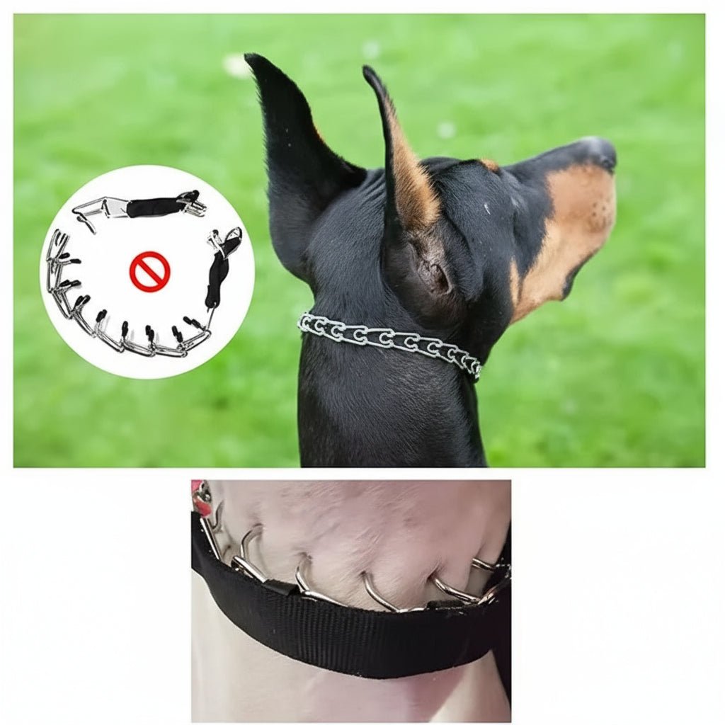 GentleGuide Dog Training Collar with Durable Steel Links