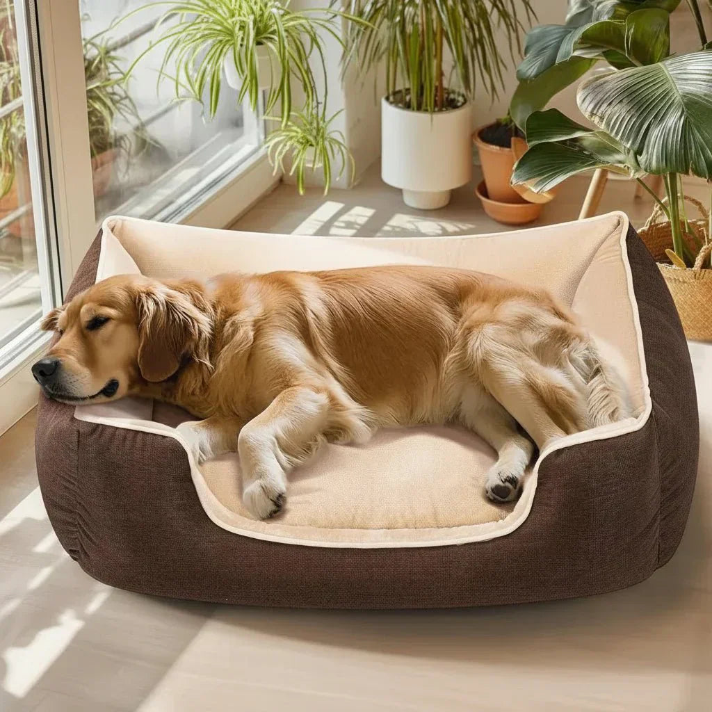Ultimate Comfort Waterproof Foam Dog Bed for Every Breed