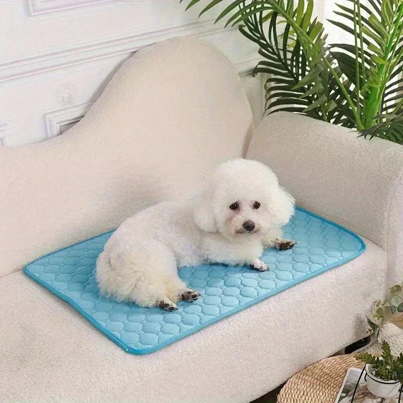 PawBreeze Refreshing Pet Mat for Ultimate Comfort