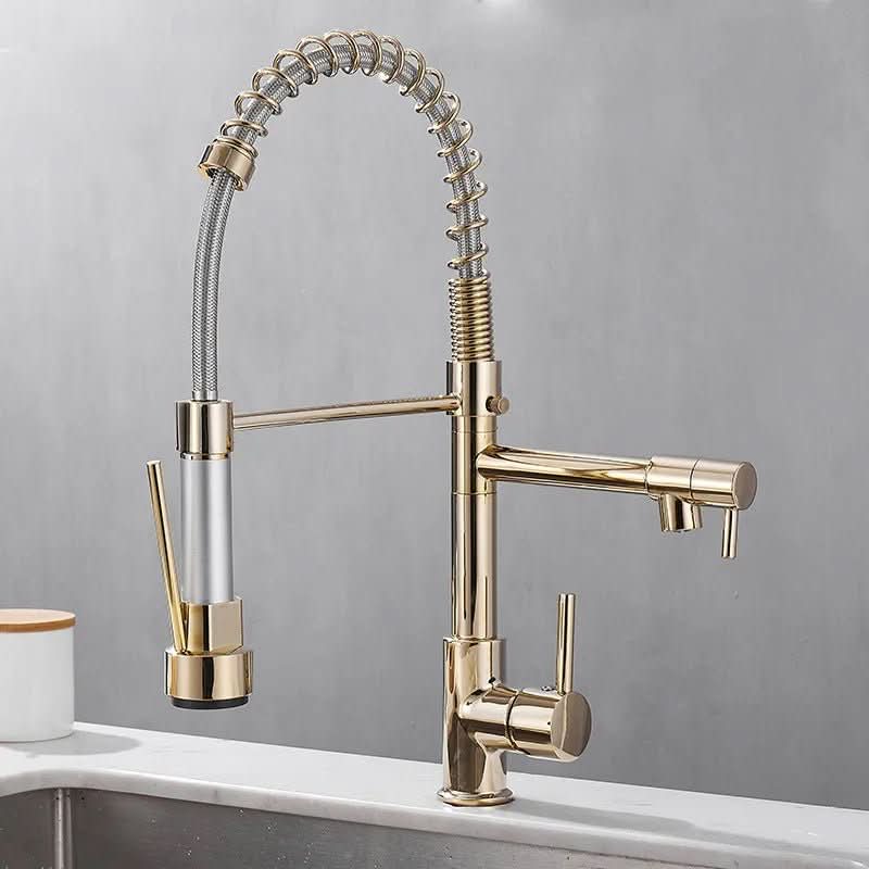 Elegant Duo Spout Kitchen Faucet with Luxe Black and Gold Design