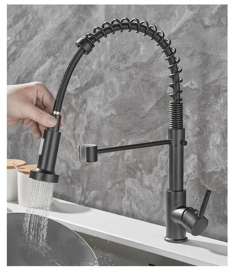 Elegant Duo Spout Kitchen Faucet with Luxe Black and Gold Design