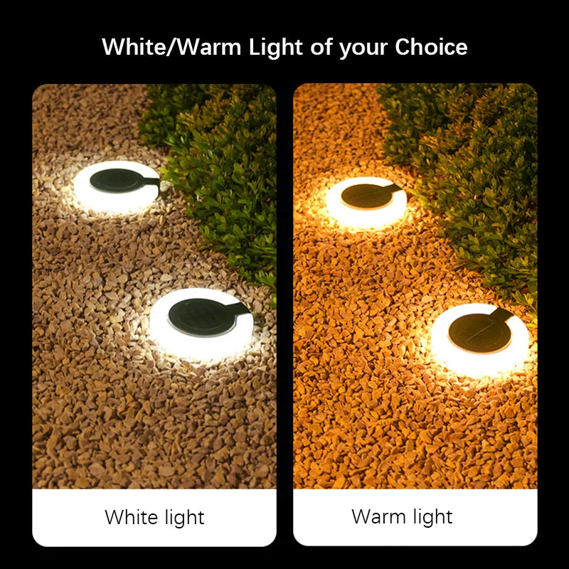 Adjustable 360° Lamp Head Solar Outdoor Light for Gardens