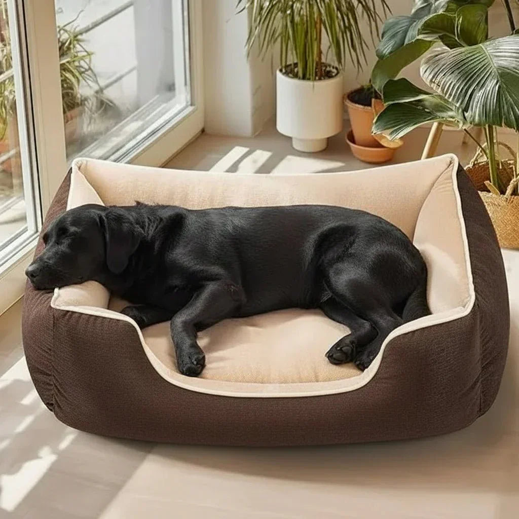 Ultimate Comfort Waterproof Foam Dog Bed for Every Breed