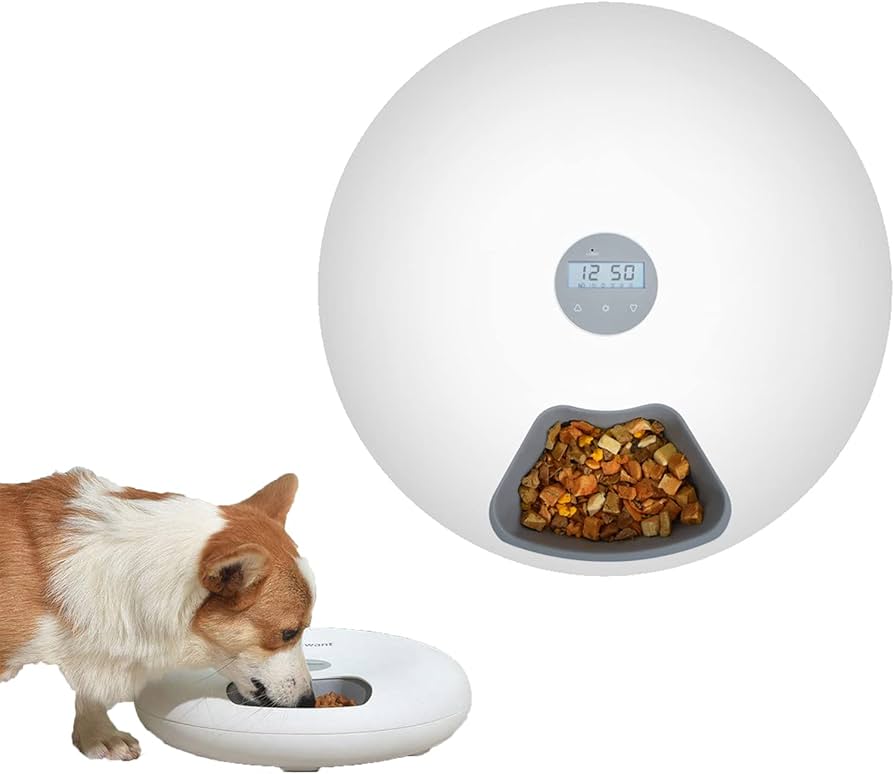 Automatic Pet Feeder with Six Meal Slots for Cats and Dogs
