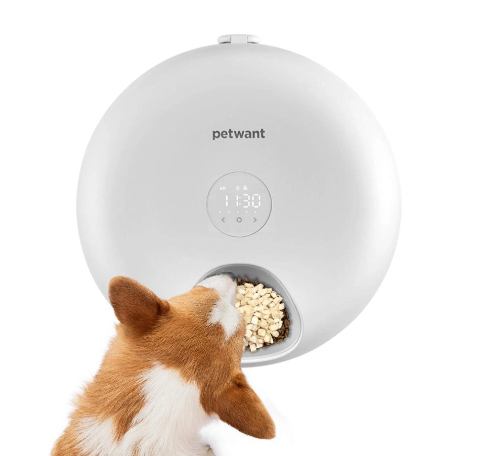 Automatic Pet Feeder with Six Meal Slots for Cats and Dogs