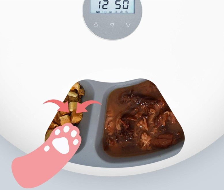 Automatic Pet Feeder with Six Meal Slots for Cats and Dogs