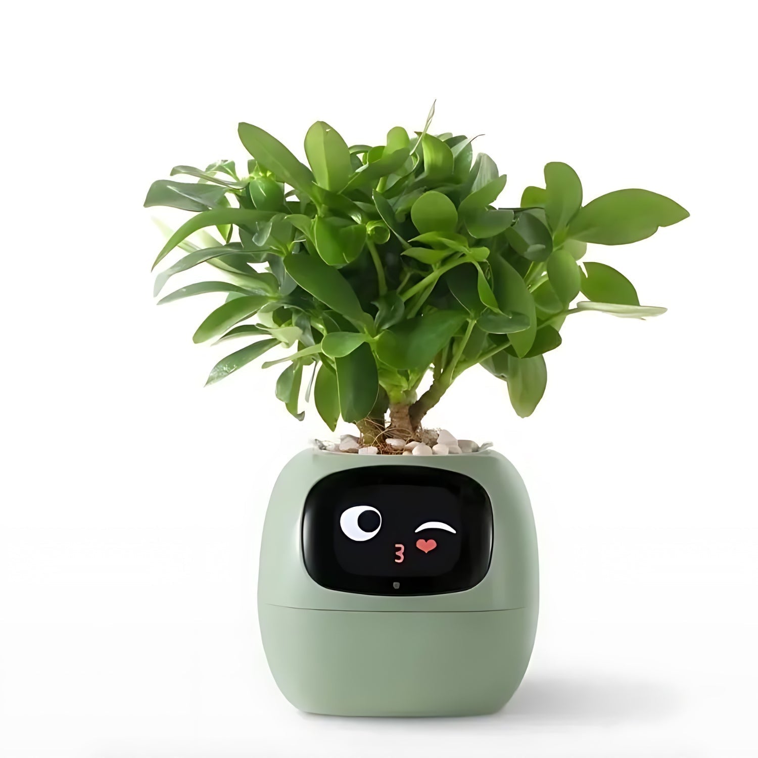 Self-Watering Flower Pot with App Notifications and Emoji Alerts