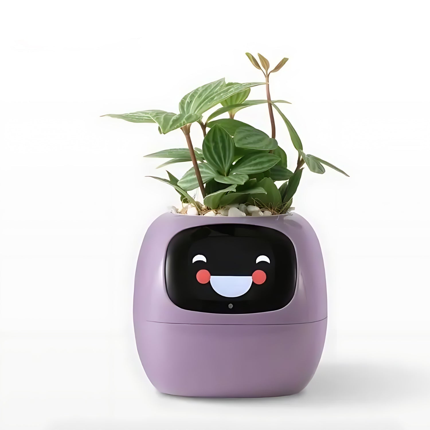 Self-Watering Flower Pot with App Notifications and Emoji Alerts