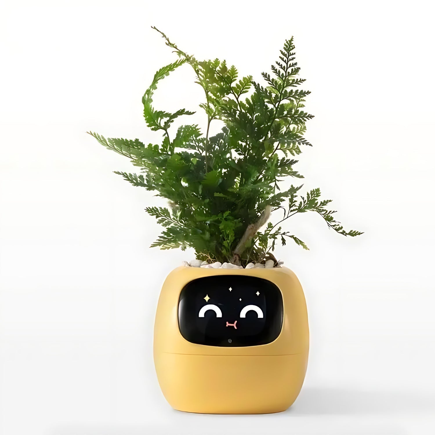 Self-Watering Flower Pot with App Notifications and Emoji Alerts