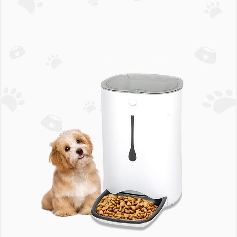Automatic Pet Feeder with 6L Capacity and Video Monitoring for Cats and Dogs