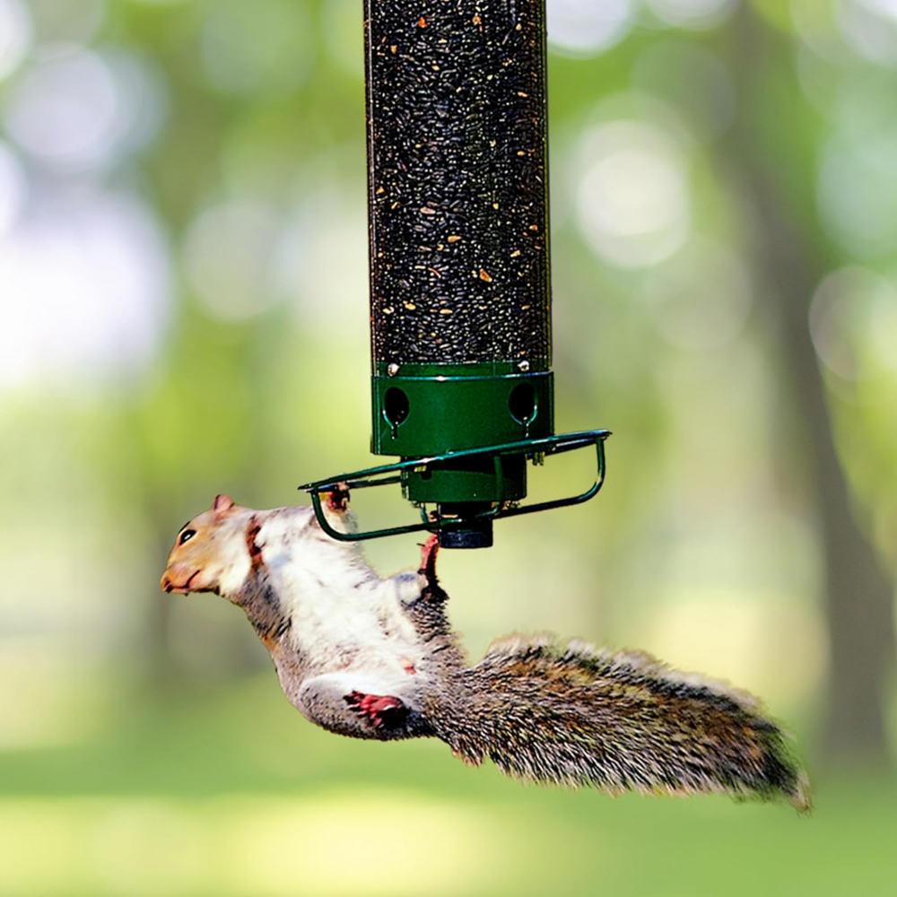 Durable Squirrel-Guard Tube Bird Feeder for Your Garden